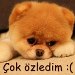 Son Hediyye